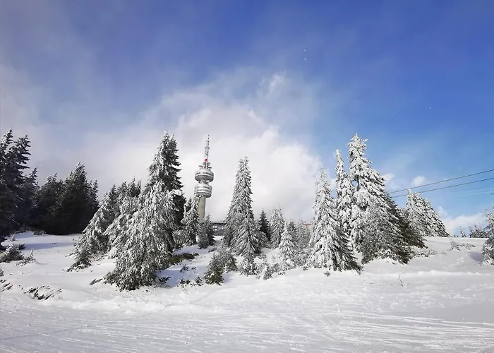 Apartment Viva 4 To The Door Complex Grand Monastery