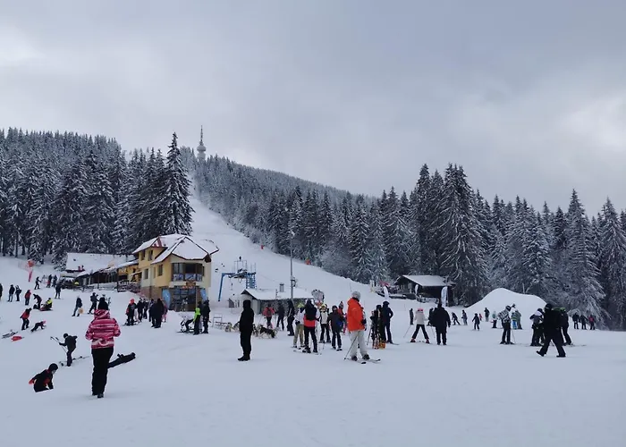 Viva 4 To The Door Complex Grand Monastery *